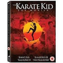 THE KARATE KID Movies 1 2 3 4 (Next Karate Kid) Box Set DVD NEW