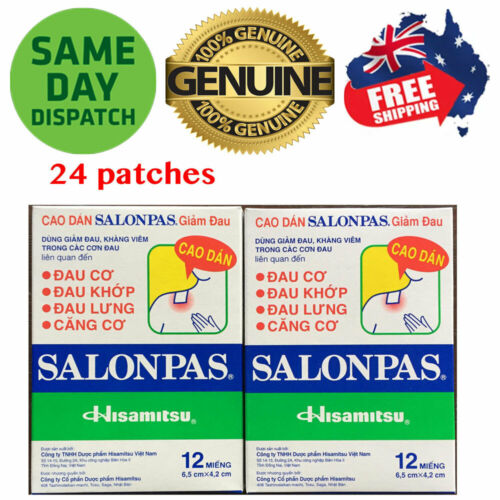 Salonpas Patch Hisamitsu Pain Relieving 2 Boxes 24 Patches Made in Vietnam