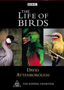 David Attenborough The Life of Birds DVD R4 New Sealed 3 discs BBC