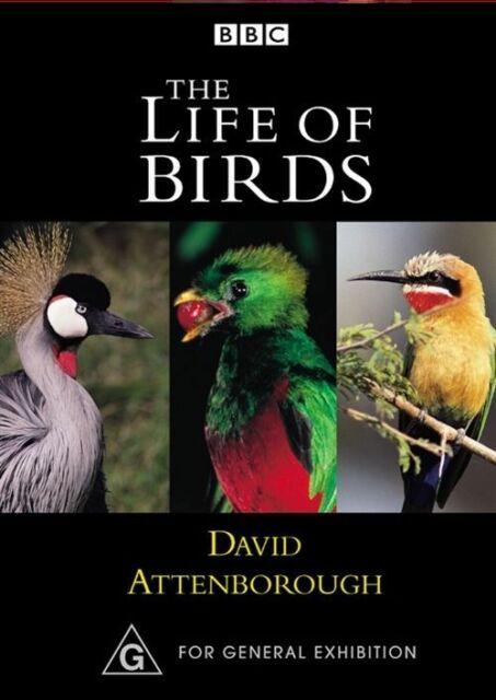 David Attenborough The Life of Birds DVD R4 New Sealed 3 discs BBC